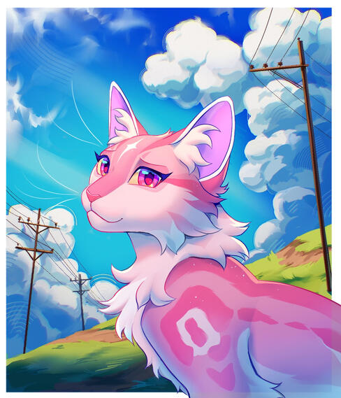 Pink Cat Clouds 2025