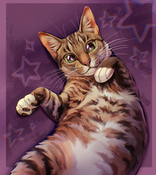Starry Cat Portrait Commission 2025