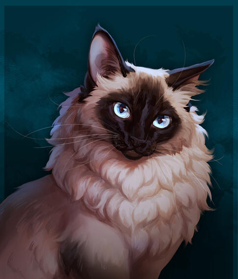 Memorial Cat Portrait (Commission) 2025