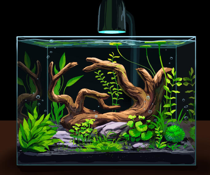 Fishtank Environment 2026