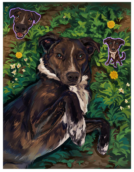Dog Portrait 2025